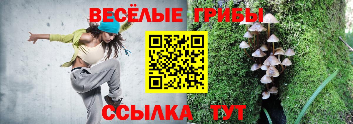 Галлюциногенные грибы Psilocybine cubensis  Вход с VPN  Сарапул 